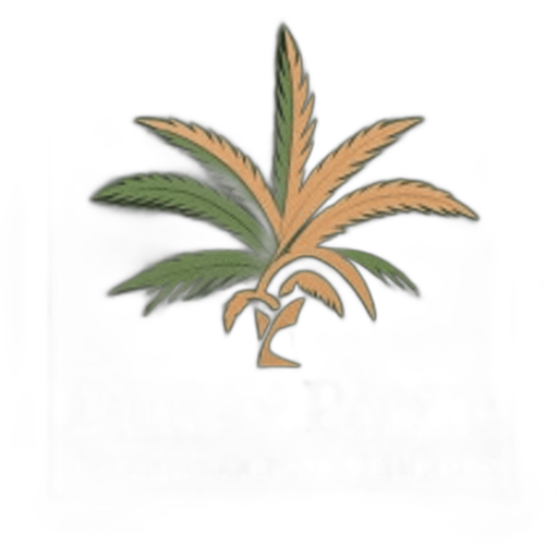 Dunes Palms International Schools