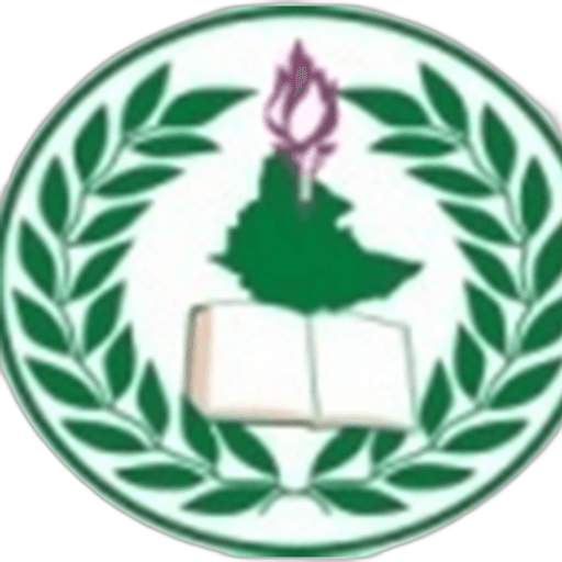 Ethiopian International School