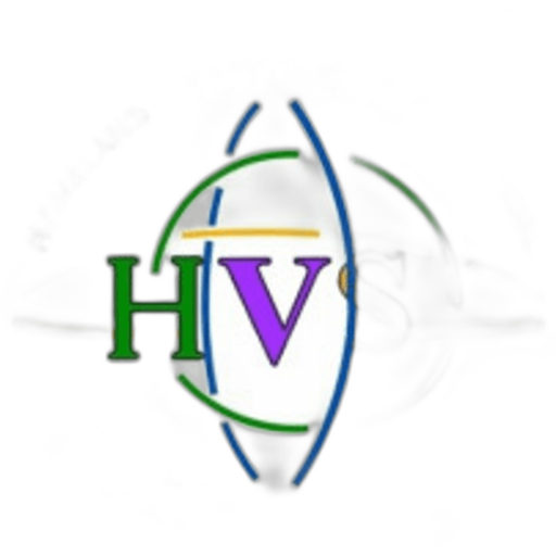 Homeland Vision International School