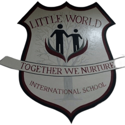 Little World International School