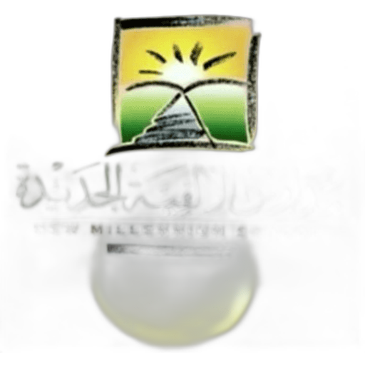 New Millennium School