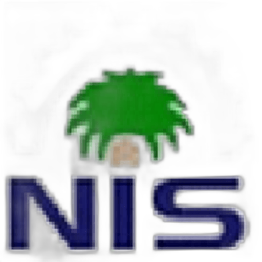 Nour Al Maaref International School