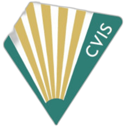 The Country Vision International School